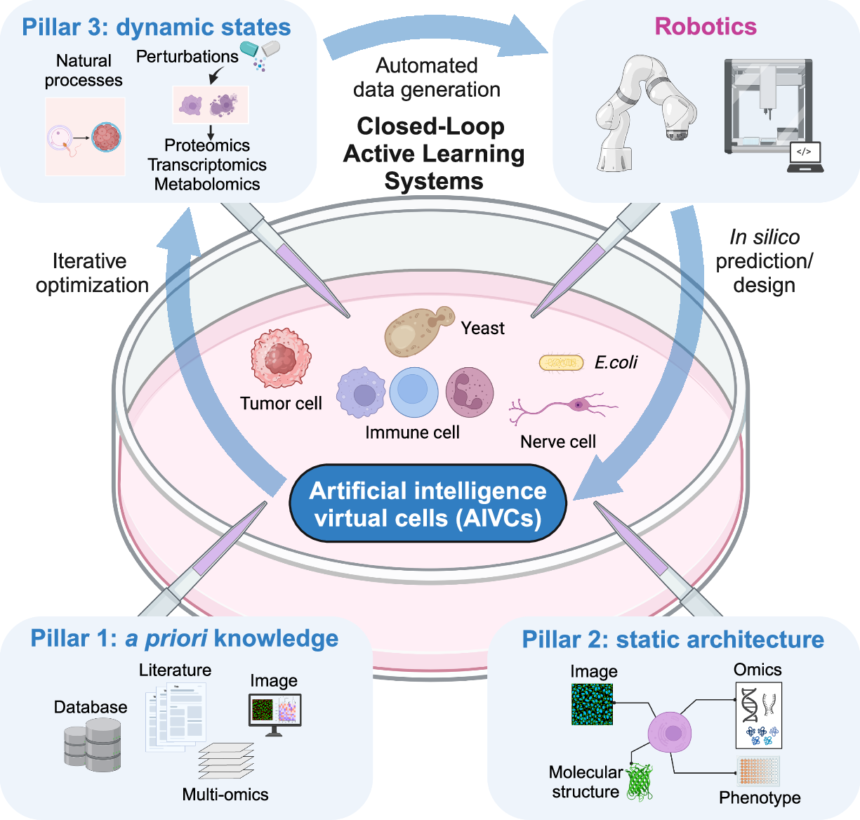 Dr. Pranav Rajpurkar